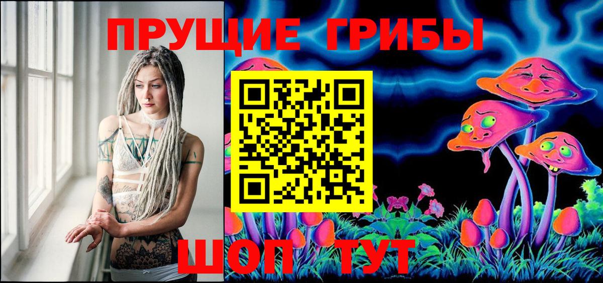 купить наркотики цена  Псилоцибиновые грибы GOLDEN TEACHER  Вход с VPN  Воткинск 